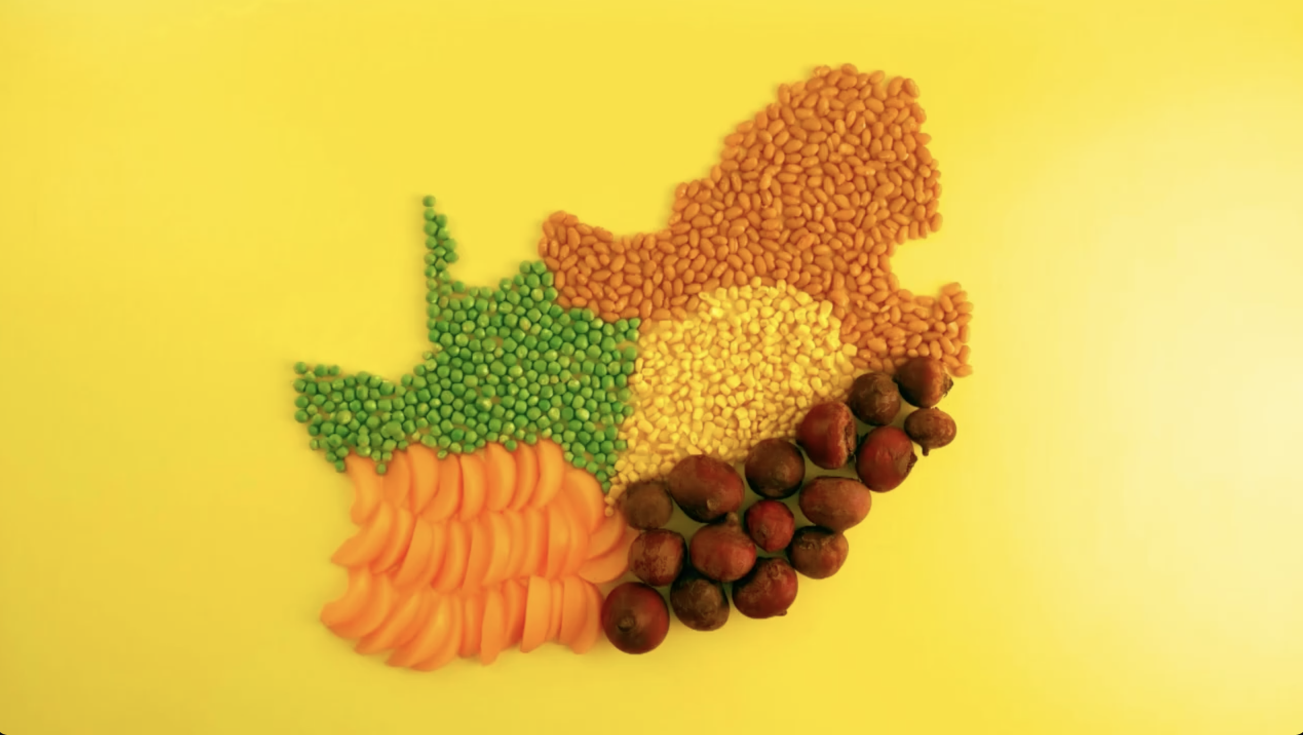 KOO: Colour Your Plate
